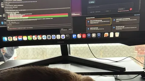 Gato deitado na mesa em frente a um monitor com código