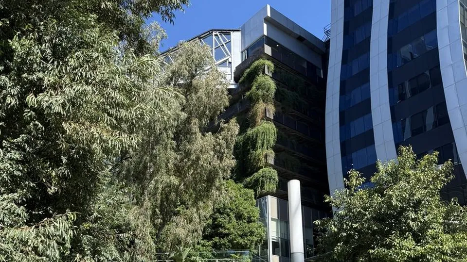 Jardim com árvores e escadas entre prédios espelhados